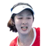 Zheng Wushuang